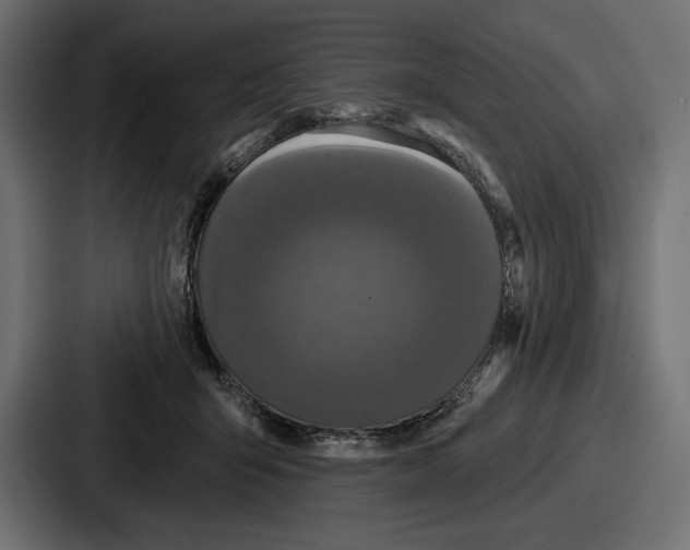 X0000086730415200705111619