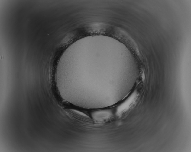 X0000086730416200705111619