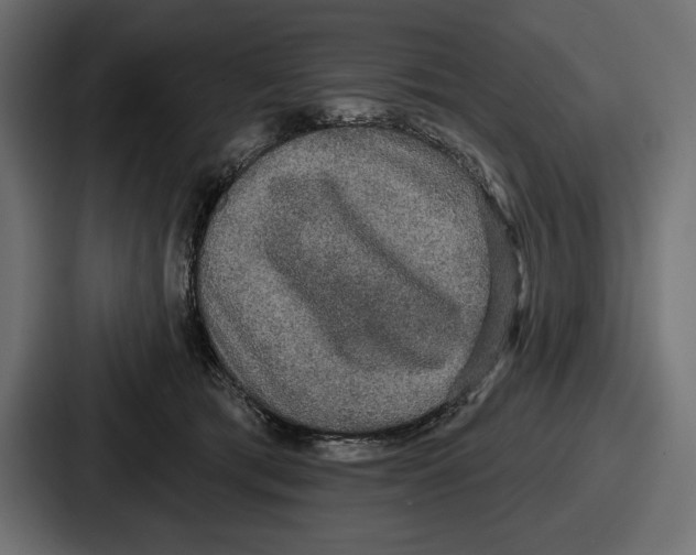 X0000086730417200705111619