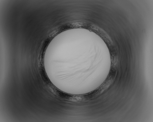 X0000086730418200705111619