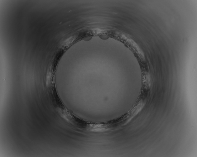 X0000086730419200705111619
