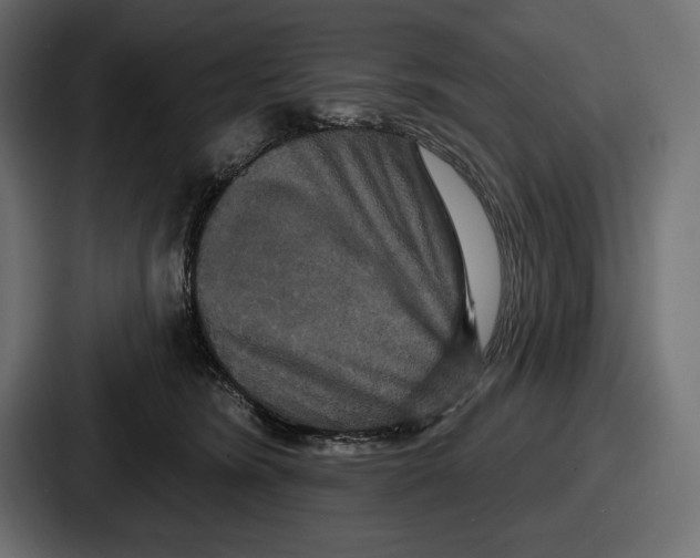 X0000086730420200705111619