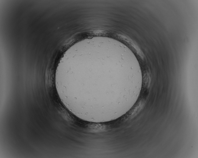X0000086730421200705111619