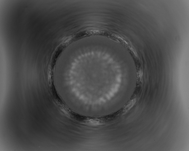 X0000086730423200705111618