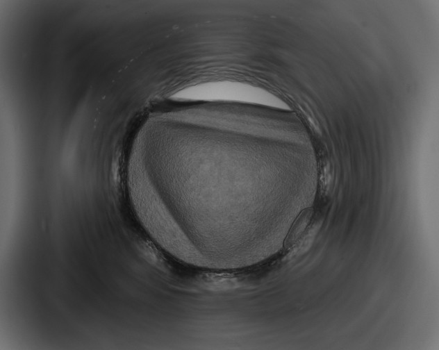 X0000086730424200705111618