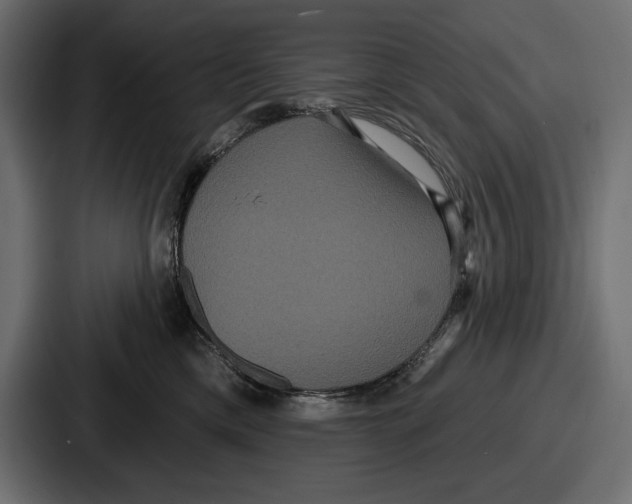 X0000086730425200705111618