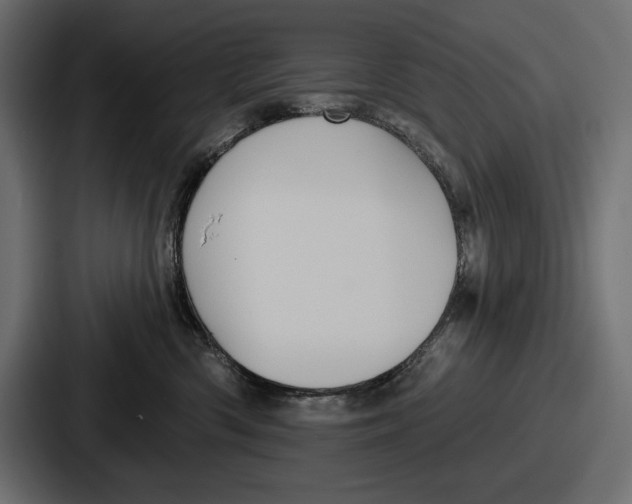 X0000086730426200705111618