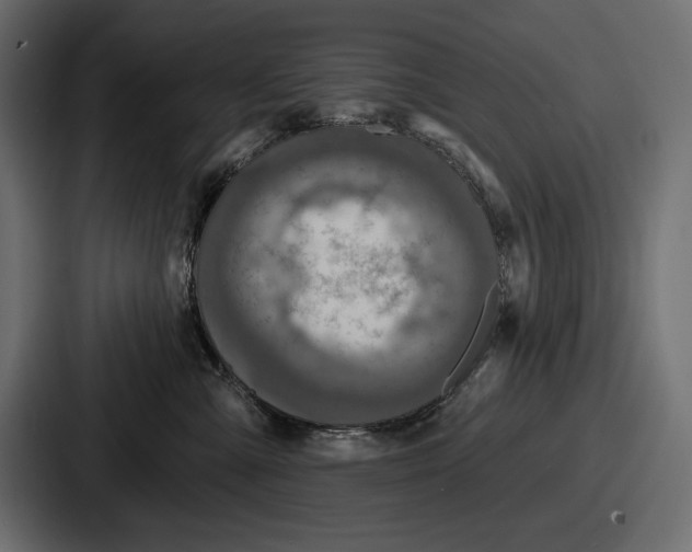 X0000086730427200705111618