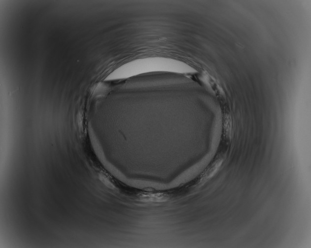 X0000086730428200705111618