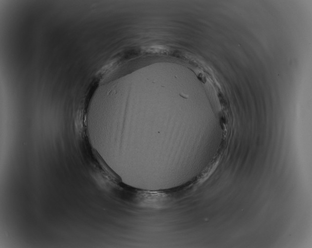 X0000086730429200705111618