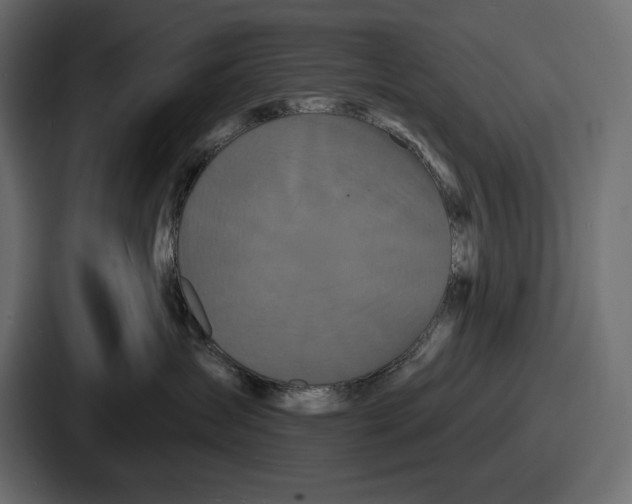 X0000086730431200705111618