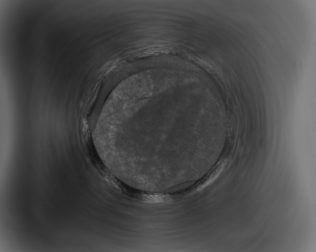 X0000086730432200705111618