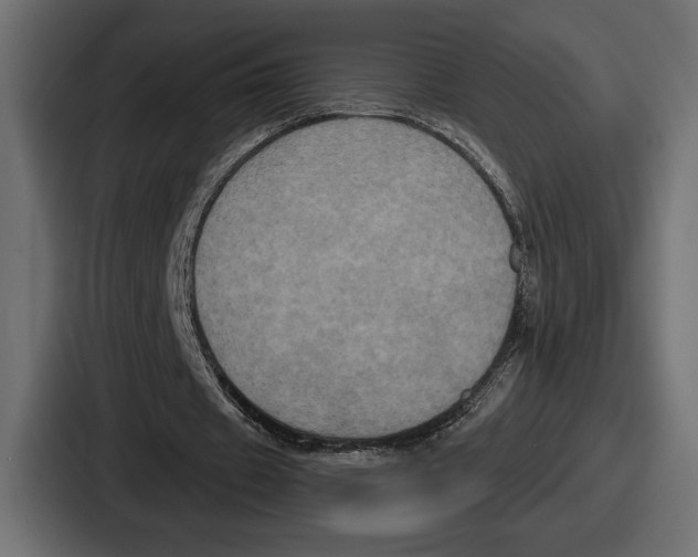 X0000086730433200705111618