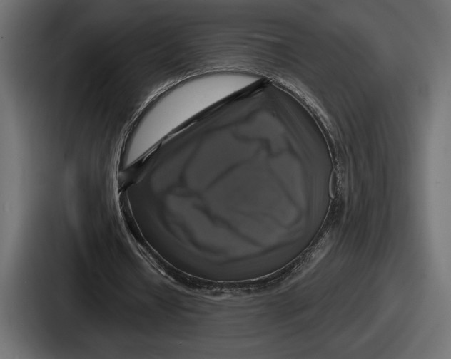 X0000086730434200705111618