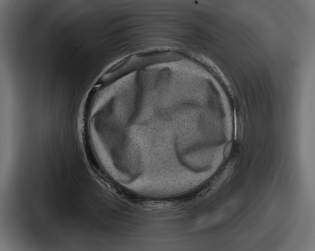 X0000086730435200705111618