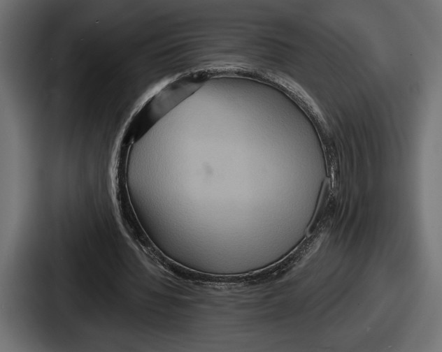X0000086730436200705111618