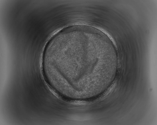X0000086730437200705111618