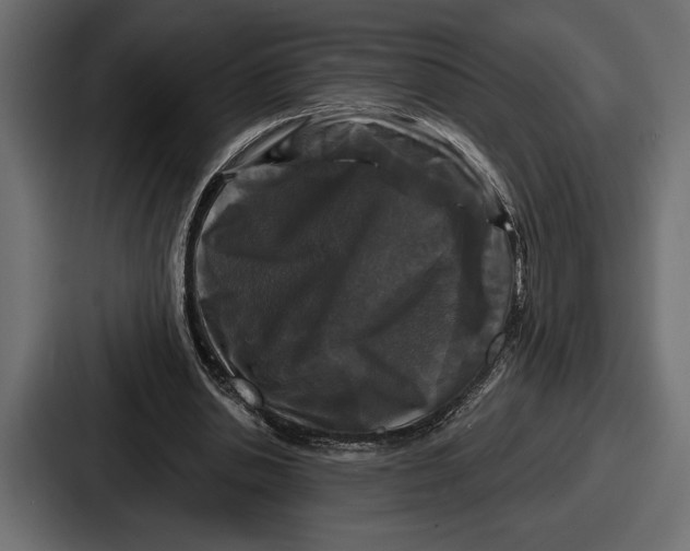 X0000086730438200705111618
