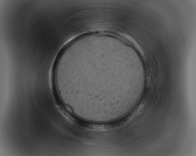 X0000086730439200705111618