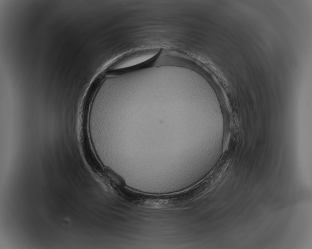 X0000086730440200705111618