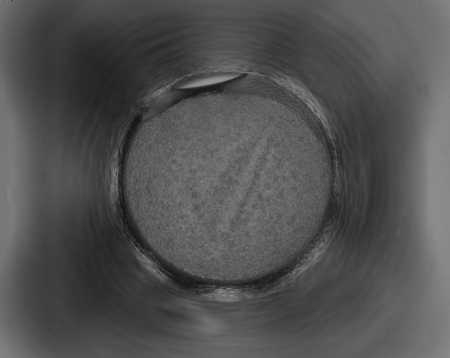 X0000086730441200705111618
