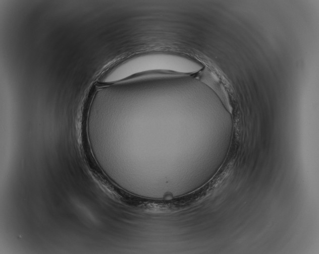 X0000086730442200705111618