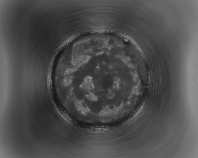 X0000086730443200705111618