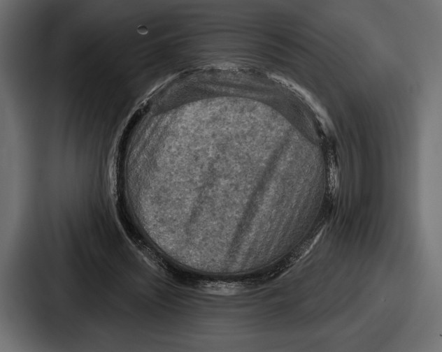 X0000086730444200705111618