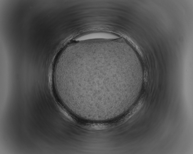 X0000086730445200705111618
