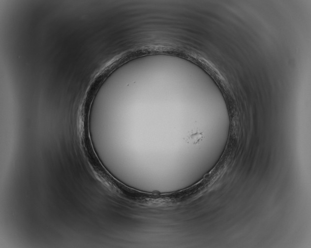 X0000086730446200705111618