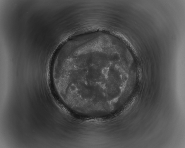 X0000086730447200705111618