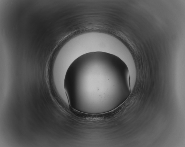 X0000086730448200705111618