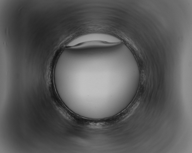 X0000086730450200705111618