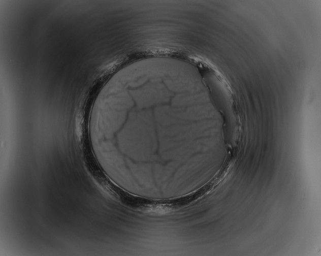 X0000086730451200705111618