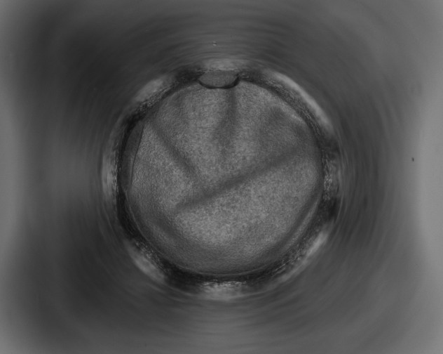 X0000086730452200705111618