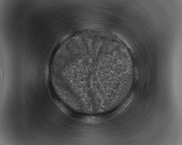 X0000086730453200705111618