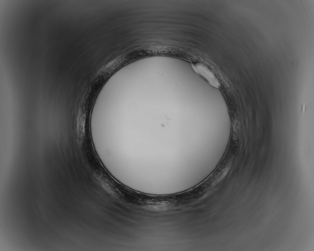 X0000086730454200705111618
