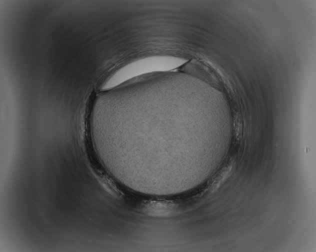 X0000086730455200705111618