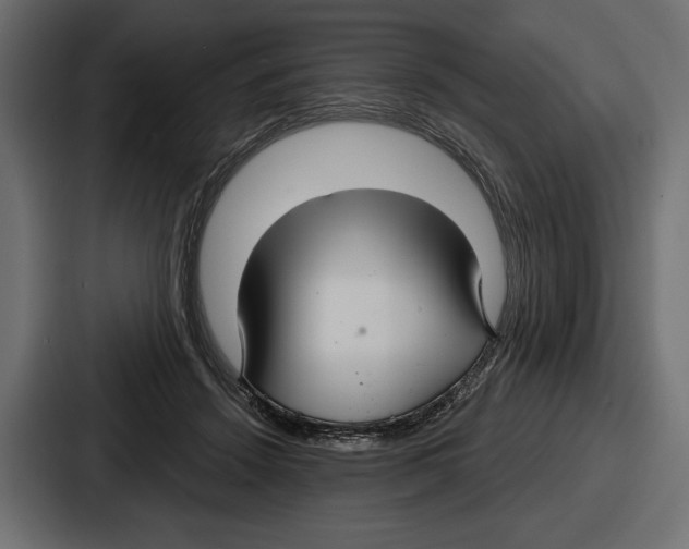 X0000086730456200705111618