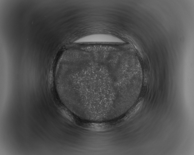X0000086730457200705111618