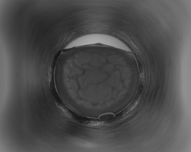 X0000086730458200705111618