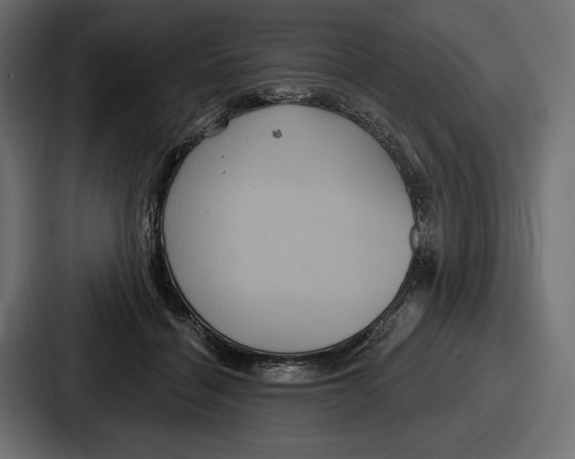 X0000086730460200705111618