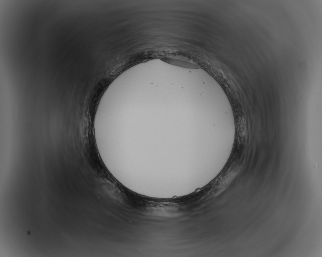 X0000086730463200705111618