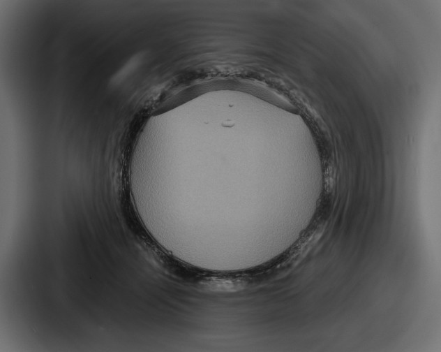 X0000086730464200705111618