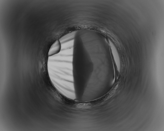 X0000086730465200705111618