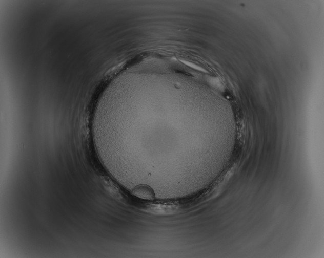 X0000086730466200705111618