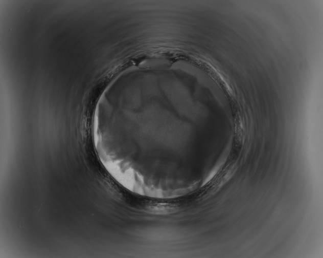 X0000086730467200705111618