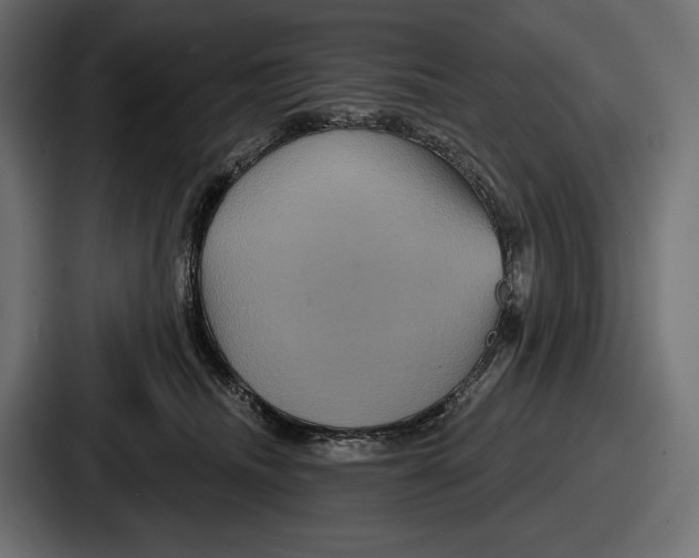 X0000086730468200705111618