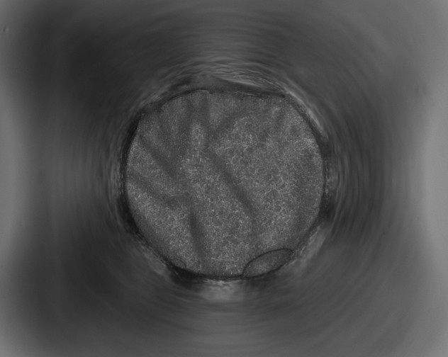 X0000086730469200705111618