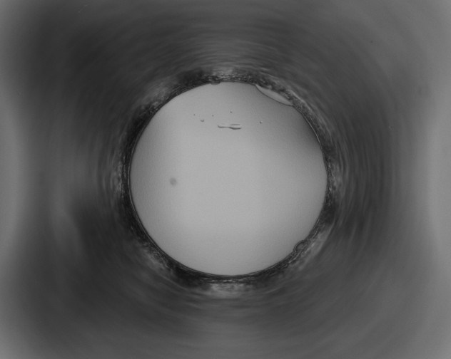 X0000086730470200705111618